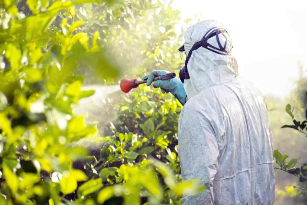 Pesticidi in agricoltura