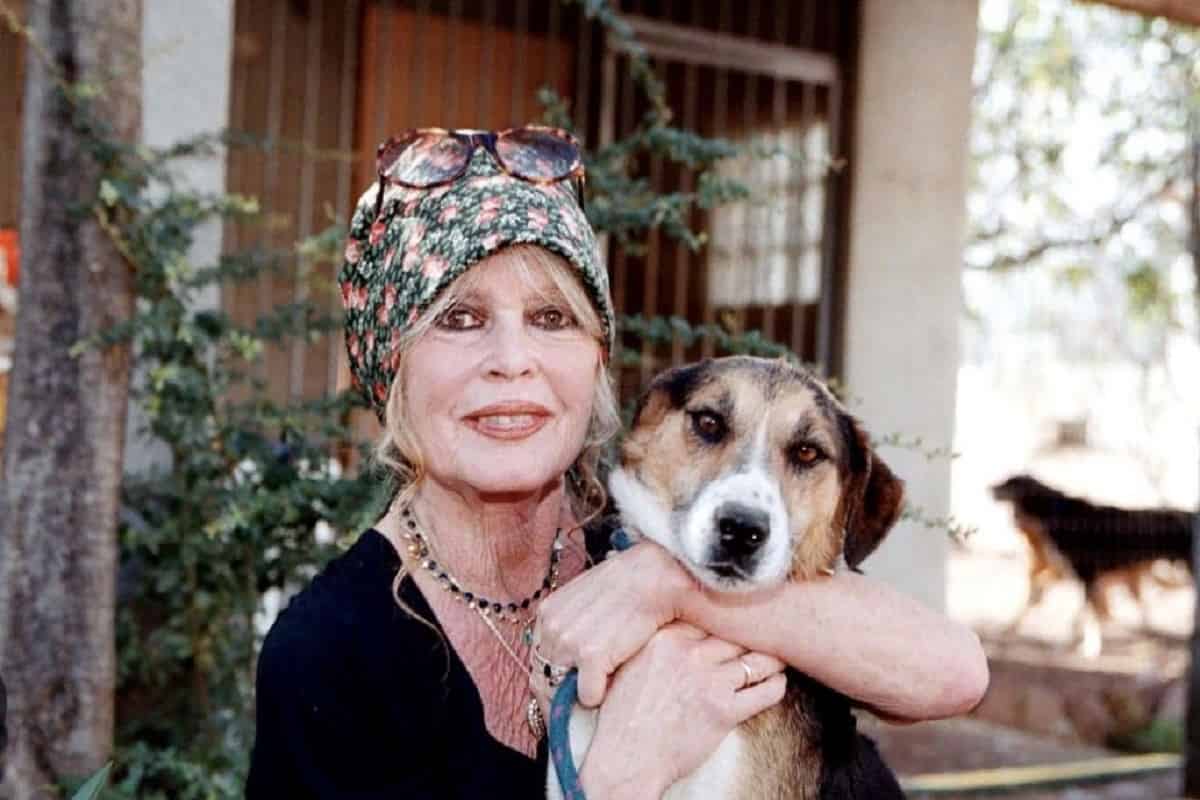 come è morta brigitte bardot