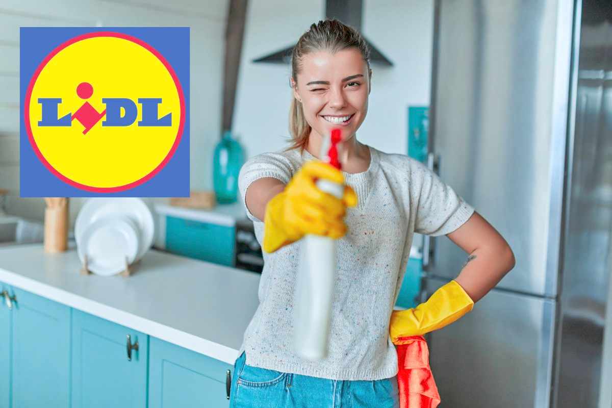 pulizie casa aiuto top lidl